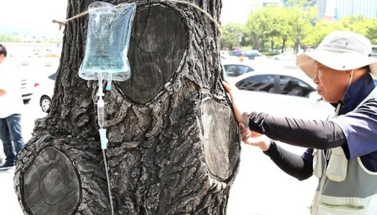 가로수와 공원, 아파트 단지 등의 수목을 진단하고 치료하는 사업을 시작하려면… 관련 이미지